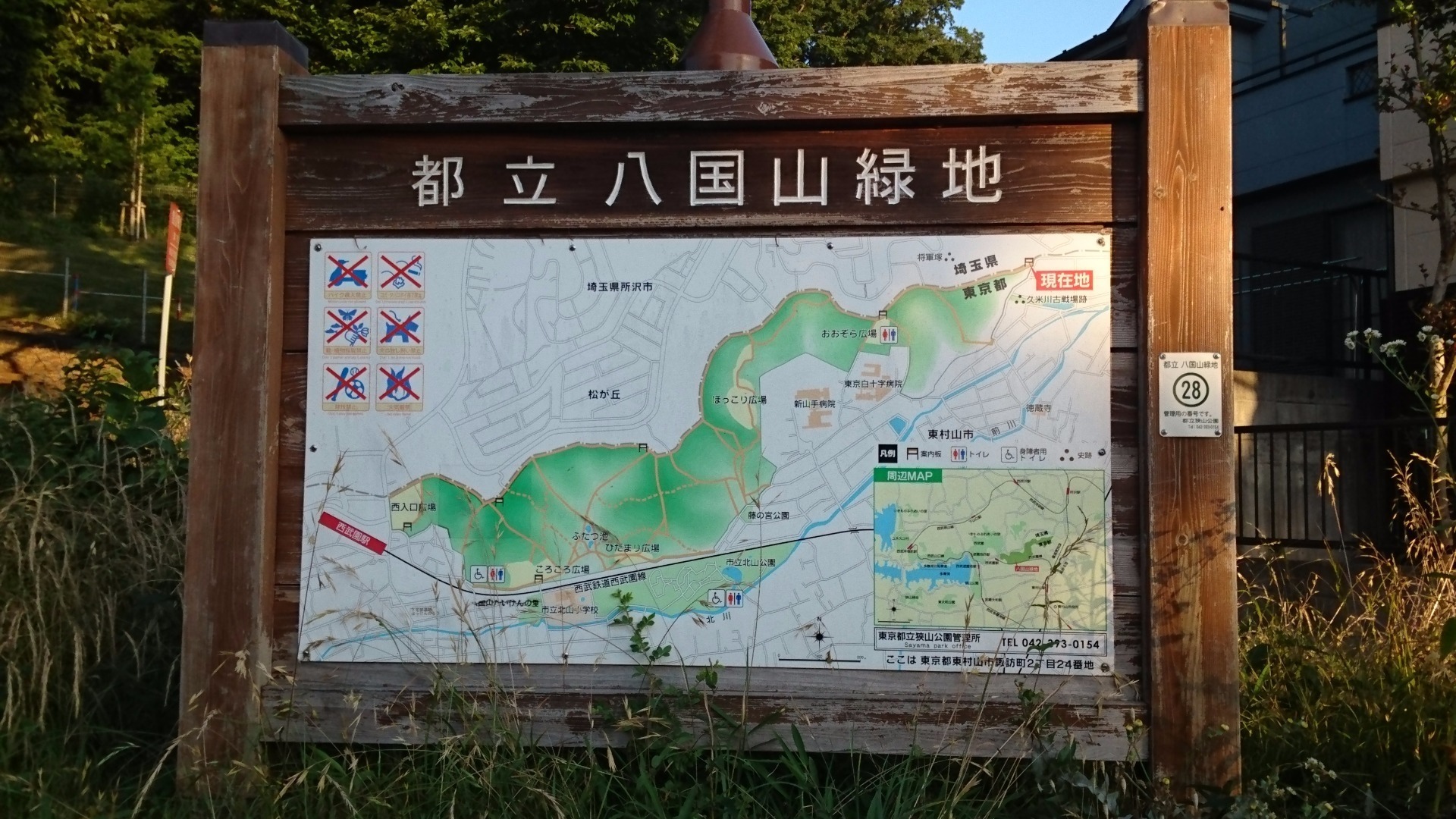 トトロの山 八国山から東京スカイツリー 見えた 自立して生きるオヤジになる